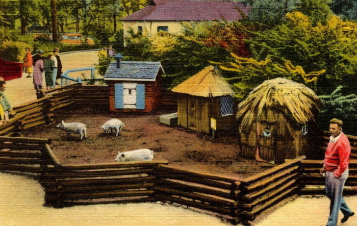 Belle Isle Childrens Zoo - Vintage Postcard